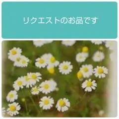 Item thumbnail for item de24f97c-70a5-4d51-a5a3-350451bd932e