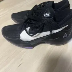 ズームフリーク2 25.5cm