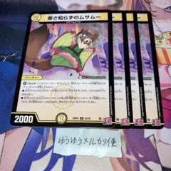 NO.11644 寒さ知らずのムサムー