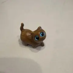 万博　スーダン　猫　コモンズ