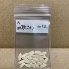 57文字様 リクエスト 8点 まとめ商品