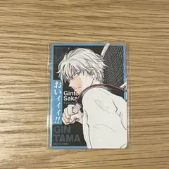 ジャンプフェスタ　2026 坂田銀時 越前リョーマ