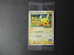 2026年最新】ポケパーク2005の人気アイテム - メルカリ