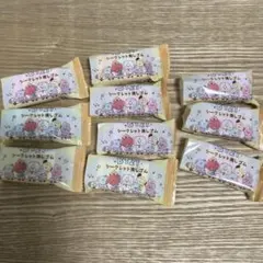 BTS BT21 シークレット消しゴム　10個セット