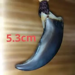 2026年最新】ヒグマ 爪の人気アイテム - メルカリ