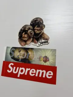 2026年最新】SUPREME フォトフレームの人気アイテム - メルカリ