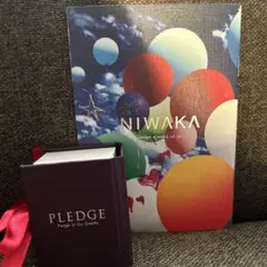 プレッジリング　NIWAKA PLEDGE for WEDDING 9号