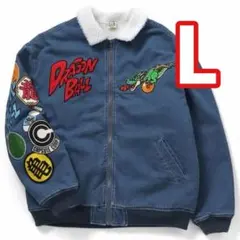 Item thumbnail for item 450a49b7-0ec4-493e-b750-62023506b9fb