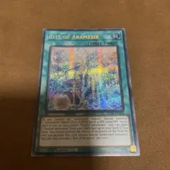 遊戯王　アラメシアの儀　英語　シークレット　→877
