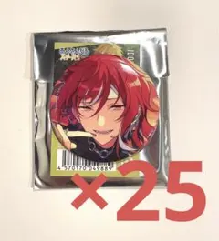 逆先夏目 2024 May 缶バッジ 25個セット