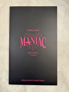 Straykids maniac グッズ　スキズトレカ