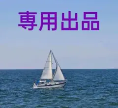 ハイビ様専用出品40枚