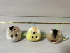 マーモットのもっとっと　ふわふわぽん　3点セット