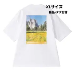 ノースフェイス アウトドア ショートスリーブヨセミテシーナリーティー XLサイズ