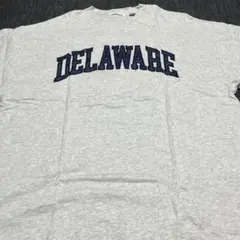 WEGO DELAWARE カレッジロゴ Tシャツ グレー M