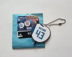 Item thumbnail for item 0dfd0472-e475-4272-aefd-e04745652007