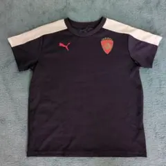 PUMA サッカーTシャツ 150