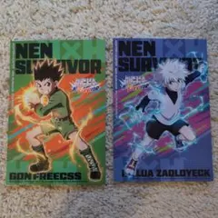 HUNTER×HUNTER NEN SURVIVOR 2冊セット