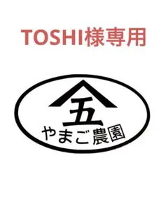 211 TOSHI様専用