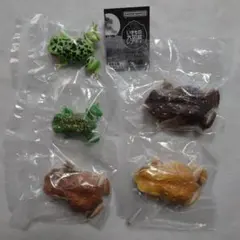 いきもの大図鑑レプティ ヒキガエルとモリアオガエル 全5種セット