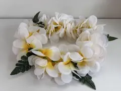 Item thumbnail for item e752ff52-7188-464b-a7a8-a2e852e91928