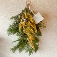 Item thumbnail for item 9681fd98-f433-470a-a0d3-06cdaf3024c2