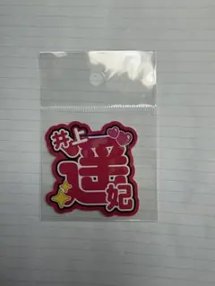 井上遥妃 おなまえシール レディースチャンピオン 新作のサムネイル