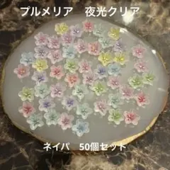 プルメリア ネイルパーツ 50個セット