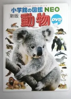 小学館の図鑑NEO 6冊セット DVD付き