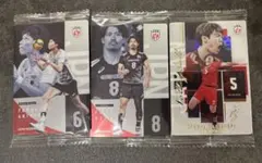 バレーボール 日本代表 トレーディングカード 3枚セット