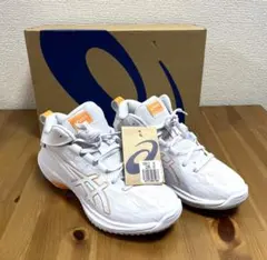 asics GELHOOP V17 未使用 25.0cm バスケットボール