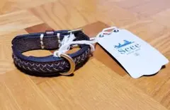 Item thumbnail for item 1507b20c-ef30-499f-a44c-c251940e2505