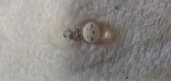 ちいかわ アクリルキーホルダー