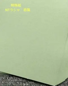 Item thumbnail for item 0e801953-9c08-43b0-afdf-a7391da4092b