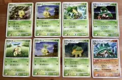 リ*ビ様 ポケモンカード ナエトルハヤシガメドダイトス 8枚セット