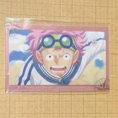 ワンピース コビー 巨大ガラポン C賞 クリアカード 麦わらストア