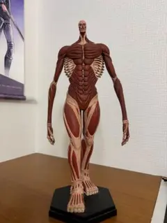 2026年最新】進撃の巨人 フィギュア 超大型巨人の人気アイテム - メルカリ