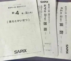 ぴの様　専用　SAPIX 3年生 入室組分け　11月～1月の2回分
