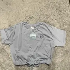 ライトグレー 半袖Tシャツ ハート刺繍 シナモロール