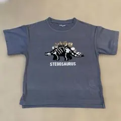 GLOBAL WORK キッズ Tシャツ 120 ステゴサウルス
