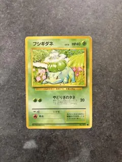 旧裏 ポケモンカード フシギダネ LV.13 マークあり 初代御三家 - メルカリ