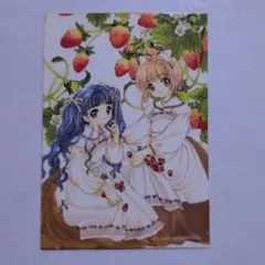 ハコニワリリィ はのんちゃん ことはちゃん サイン入りブロマイド ハコニワリリィ はのんちゃん ことはちゃん サイン入りブロマイド
