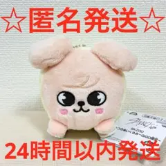 GiGO限定 SKZOO くっつきぬいぐるみ PuppyM パピーム スンミン