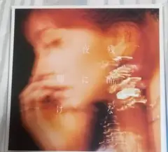 LiSA【残酷な夜に輝け】(通常盤) メガジャケのみ