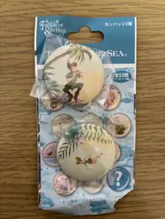 ファンタジースプリングス　カンバッジ　ピーターパン