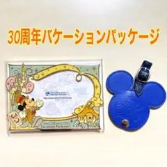 ディズニー 30周年バケーションパッケージ フォトフレーム&ラゲージタグ