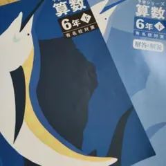 2026年最新】予習シリーズ 6年の人気アイテム - メルカリ