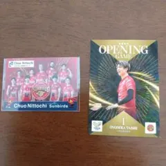 Vコレ リアルカード サントリーサンバーズ大阪 小野寺太志選手 記念カード