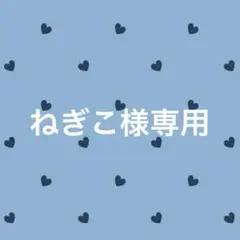大きめ可愛い ペーパークリップ バインダー貯金