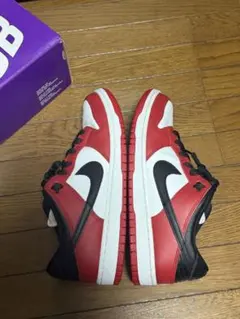 Nike SB シカゴDunk Low Pro (27)